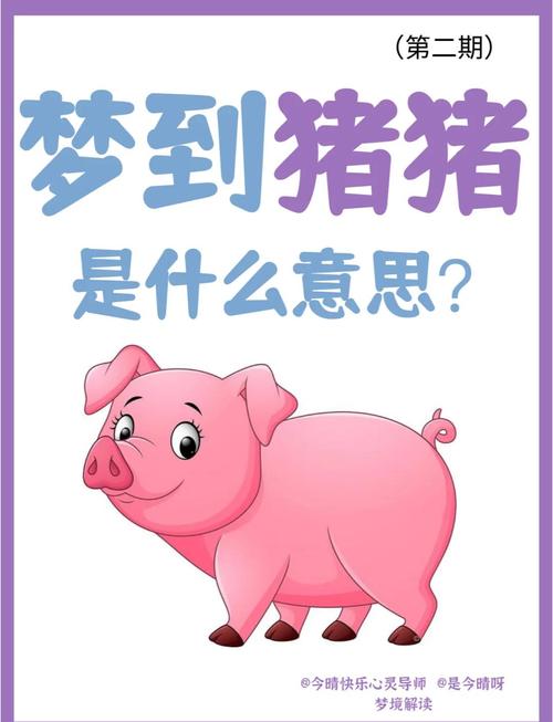 梦见黑猪象征哪些？探秘梦境背后的深层含义