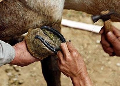 梦见马蹄铁意味着哪些？解读梦境背后的深层含义