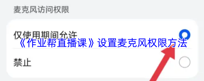 手游攻略秘籍：轻松设置作业帮直播课麦克风权限，提升学习效果