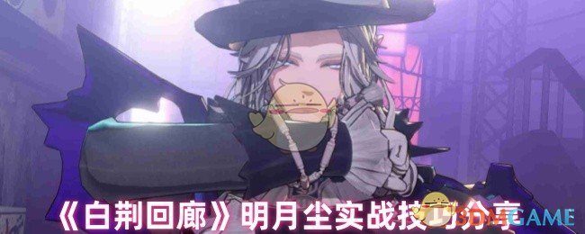 白荆回廊手游必备：明月尘实战技巧大揭秘，快速提升战力！