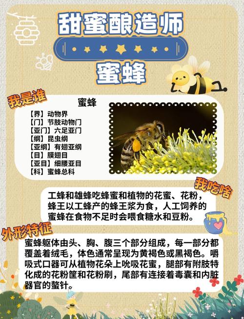 梦见蜜蜂代表哪些?揭秘梦境背后隐藏的财富机遇! 梦见蜜蜂代表哪些?揭秘梦境背后隐藏的财富机遇!