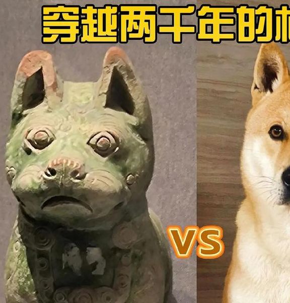 梦见大黄心理解析 vs 吉祥预兆，哪个更贴近你？