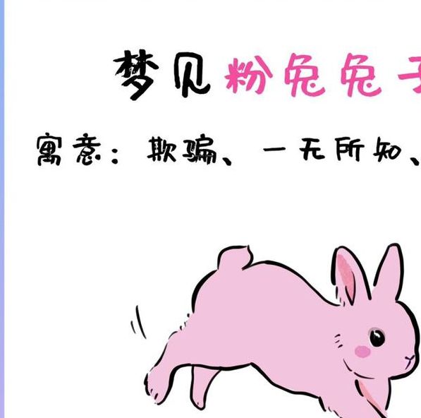 梦见兔子寓意揭密洞察梦境背后的心理暗示