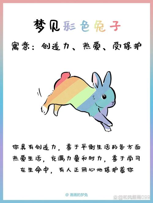 梦见兔子寓意揭密洞察梦境背后的心理暗示