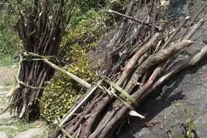 梦见一捆柴象征意义与高效解决方案分析