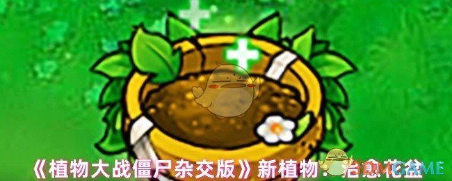 揭秘植物大战僵尸杂交版新战略：治愈花盆的强力功效与最佳应用法ább