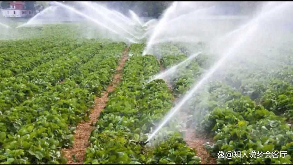 梦见灌溉的深层寓意解读，引发深思梦境背后的真实感受！