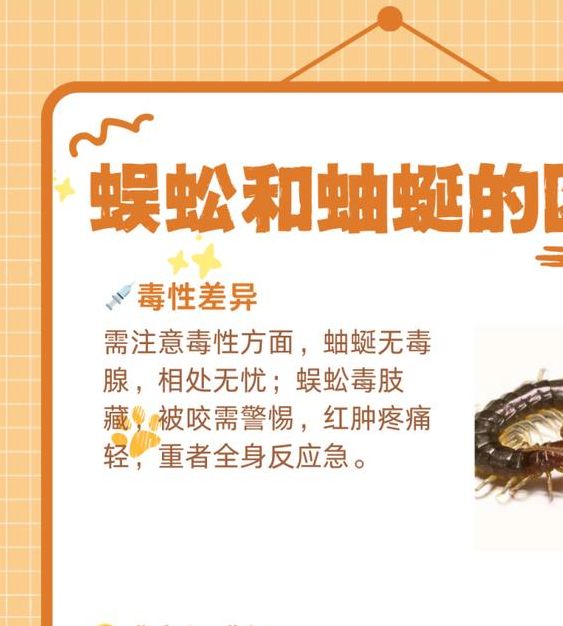 梦见小蜈蚣心理暗示与运势变化的对比解析