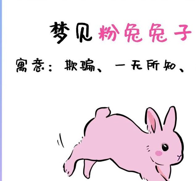 梦见野兔解析背后5大心理意义及专家建议