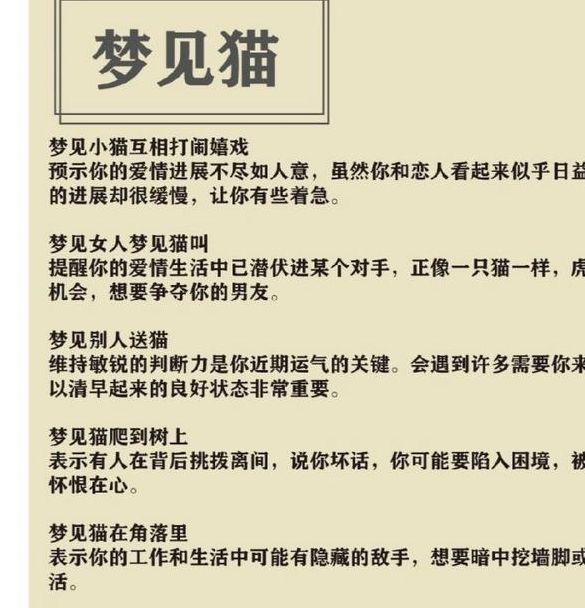 梦见被猫抓意味着哪些？解读背后心理暗示及潜在解决方法