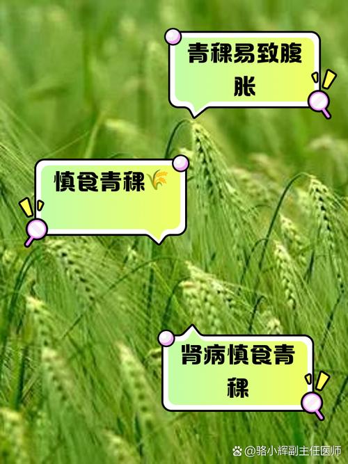 梦见青稞象征哪些？解读背后寓意及其意义如何影响生活