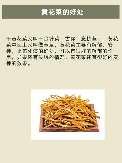 梦见黄花菜象征哪些？解读梦境心理与好运的联系