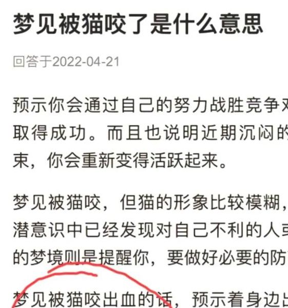 梦见浑身是血的黑猫意味着哪些?解析梦境背后的心理暗示 梦见浑身是血的黑猫意味着哪些?解析梦境背后的心理暗示