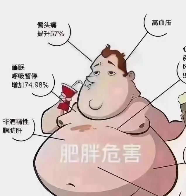 梦见自己变胖的深层原因分析心理暗示与健康影响揭秘 梦见自己变胖的深层原因分析心理暗示与健康影响揭秘