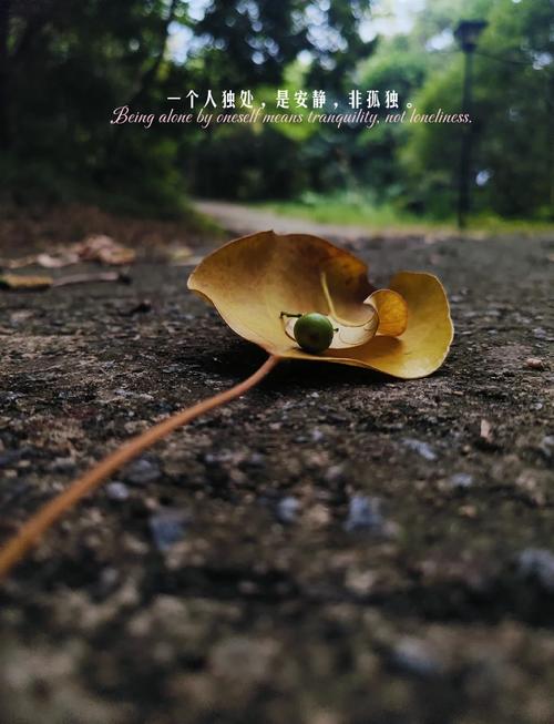 梦见超尘物的含义解析如何找到心灵的宁静与高效解决方案? 梦见超尘物的含义解析如何找到心灵的宁静与高效解决方案?