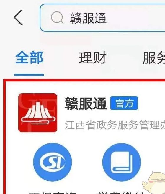 轻松获取乘机证明：赣服通办理攻略详解，助您无忧出行