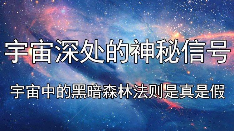 梦见螺丝锥的深意解析，用户解锁心灵深处的神秘信号！