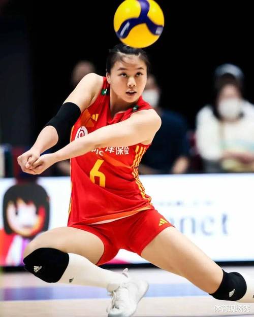 梦见排球解读梦境背后的职业发展启示