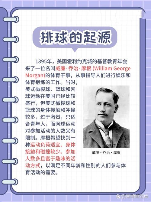 梦见排球解读梦境背后的职业发展启示