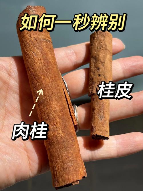 解梦桂皮象征意义和使用技巧，提升生活质量