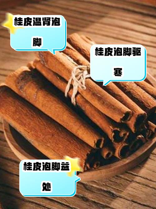 解梦桂皮象征意义和使用技巧，提升生活质量