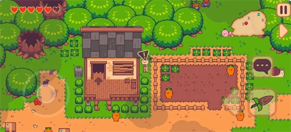 专业攻略！大头菜菜历险记全文件位置汇总，助你轻松获取游戏资源