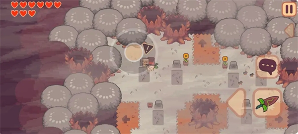 专业攻略！大头菜菜历险记全文件位置汇总，助你轻松获取游戏资源