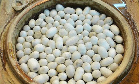 解读梦见蚕箔的吉凶象征，提升生活好运的小技巧