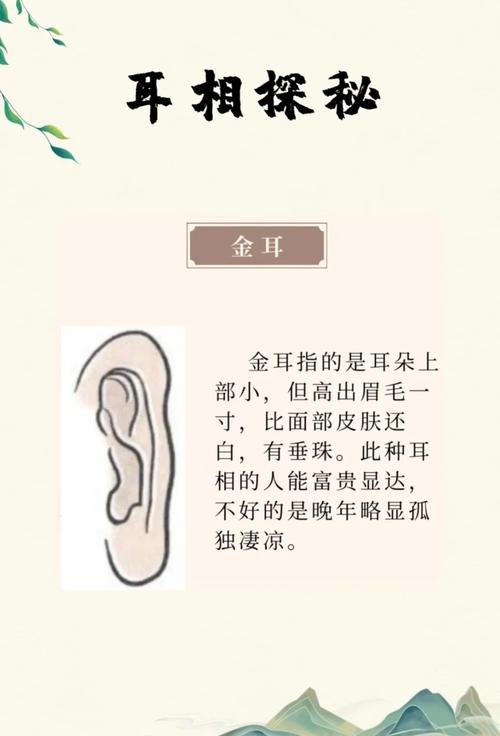 梦见耳镯寓意解读心理暗示 vs 命理解析，哪个更具启发性？