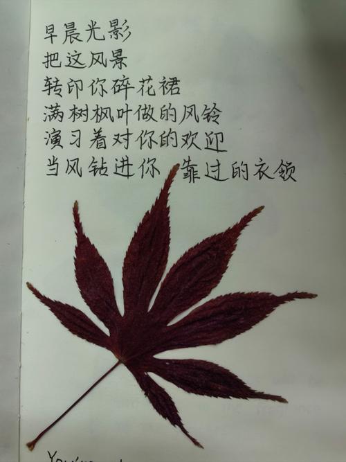 梦见红叶的深层含义揭示心理暗示与自然联结