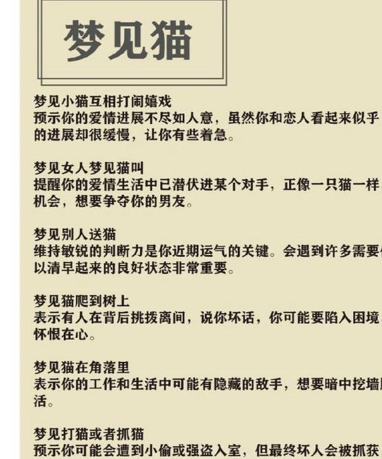 梦见小猫暗示了哪些情感变化?深度解析梦境背后的真相 梦见小猫暗示了哪些情感变化?深度解析梦境背后的真相