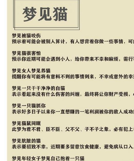梦见小猫暗示了哪些情感变化?深度解析梦境背后的真相 梦见小猫暗示了哪些情感变化?深度解析梦境背后的真相