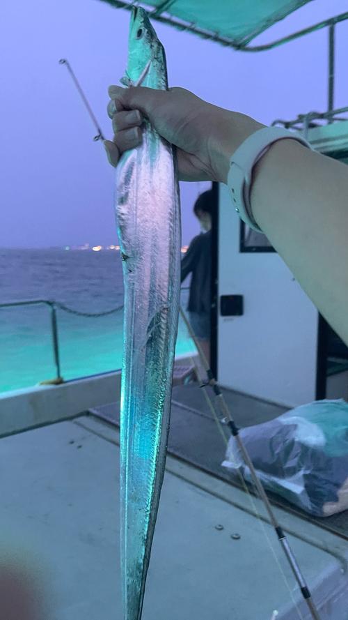梦见带鱼预示哪些?深度解析其象征及隐秘意义 梦见带鱼预示哪些?深度解析其象征及隐秘意义