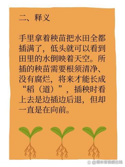 梦见秧苗象征哪些？解读梦境启示，提升个人成长