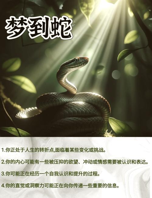 揭秘梦见鞭子的真正含义,它暗示了哪些深层次的内心变化? 揭秘梦见鞭子的真正含义,它暗示了哪些深层次的内心变化?