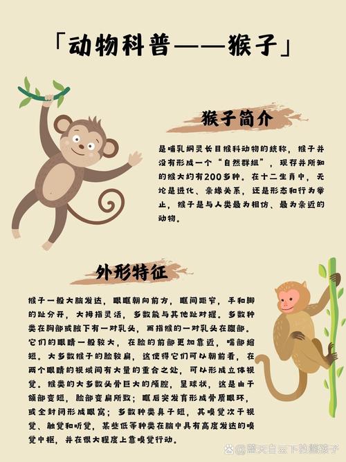 梦见猴子行为解析潜意识暗示与个人内心探索对比分析 梦见猴子行为解析潜意识暗示与个人内心探索对比分析