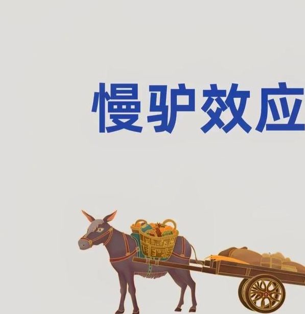 梦见驴叫的深层寓意解析如何利用梦境提升职场运势 梦见驴叫的深层寓意解析如何利用梦境提升职场运势