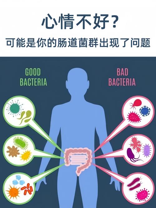 梦见肠子暗示哪些?深度解析心理象征与潜在情绪变化 梦见肠子暗示哪些?深度解析心理象征与潜在情绪变化