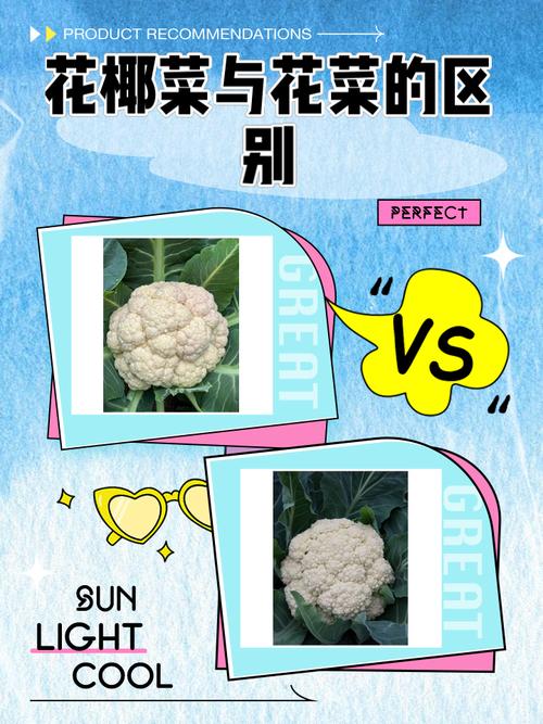 梦见花椰菜的7种心理暗示与健康指导 梦见花椰菜的7种心理暗示与健康指导