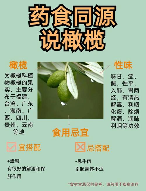 梦见橄榄预示着哪些？揭示背后隐藏的秘密和象征意义