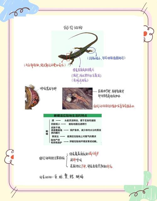 详解梦见爬行动物的8个心理暗示【权威解答】
