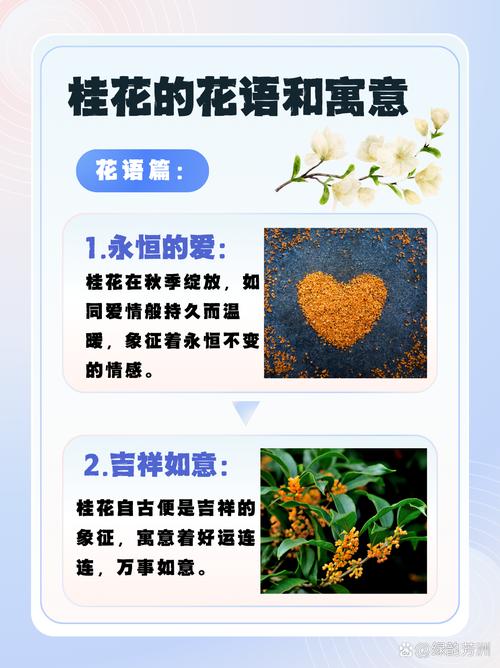 梦见月桂花的象征意义解析心理暗示与生活启示