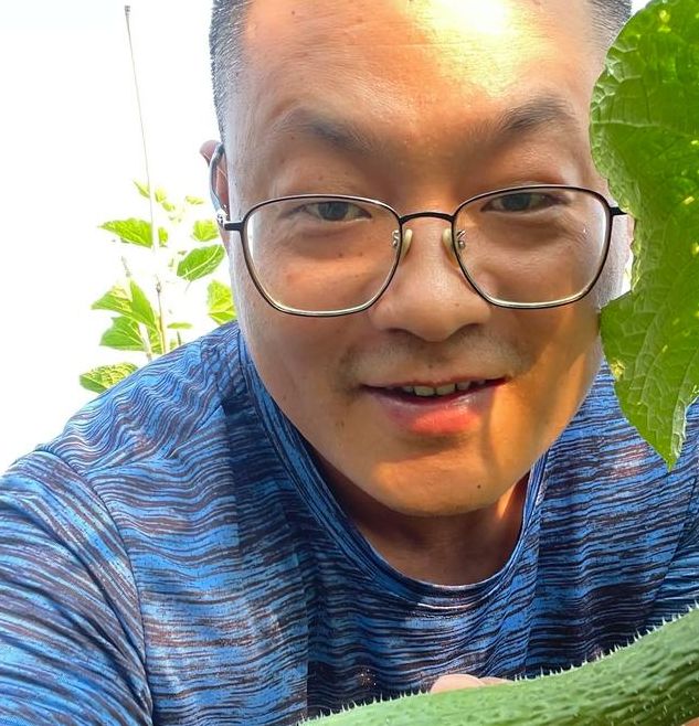 梦见摘黄瓜象征健康运势，这样解梦助您趋吉避凶