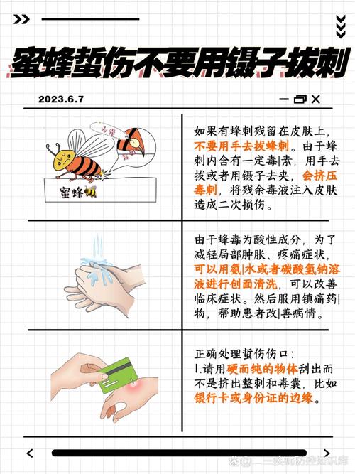 蜜蜂蜇伤毒刺如何快速拔除，你真的知道吗？
