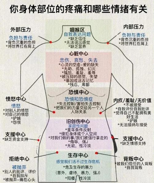 梦见身躯解析心理暗示与健康信号对比探秘