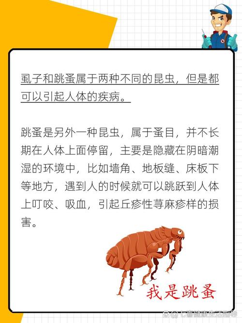 梦见身上有虱子深度解析心理暗示及潜在影响 梦见身上有虱子深度解析心理暗示及潜在影响