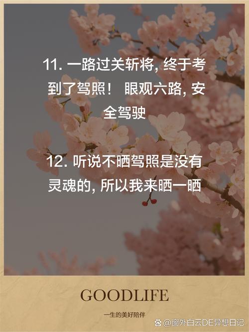 梦见驾照象征意义剖析，揭示内心渴望与潜力，吸引读者探索自我成长之旅！
