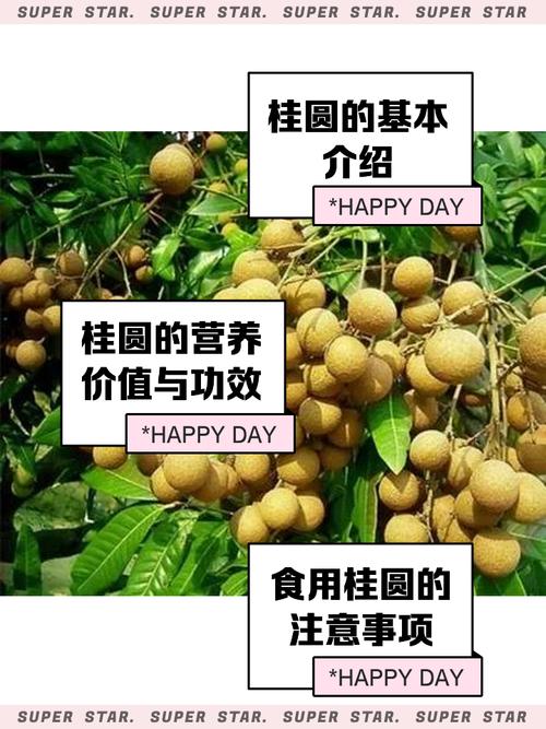 梦见桂圆解读3种常见寓意，揭示其背后含义