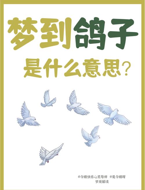 梦见养鸽子解析深度剖析与现实关联,为何此梦如此特别? 梦见养鸽子解析深度剖析与现实关联,为何此梦如此特别?