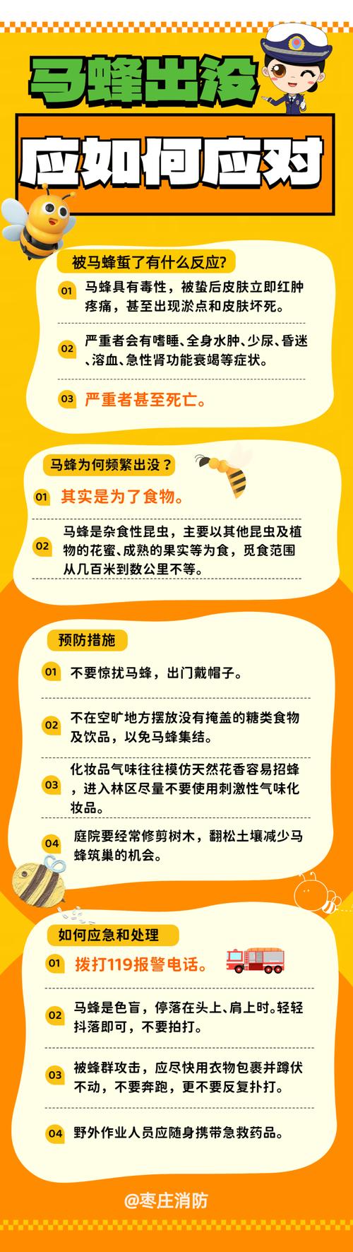 揭秘梦见马蜂的5大象征意义，你不可不知